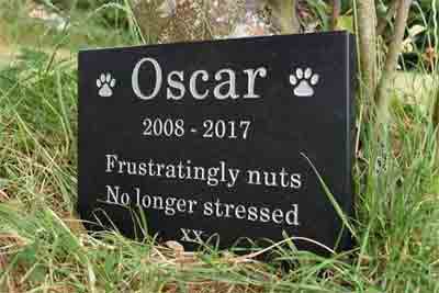 CNC engraver Service